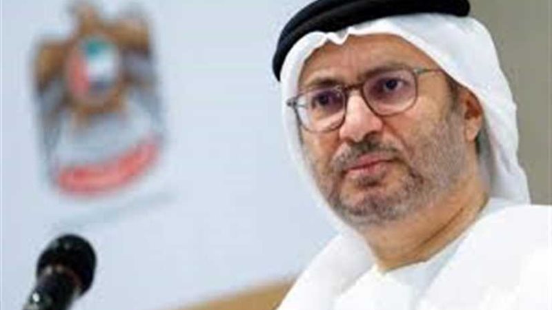 وزير الدولة الاماراتي