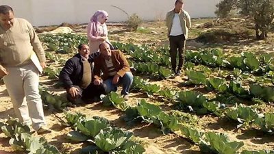 رئيس جامعة العريش يتفقد المشروعات الجديدة المقرر افتتاحها في أبريل القادم