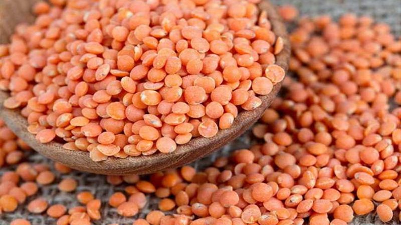 الحاصلات الزراعية