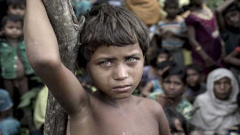 حصاد 2018.. أبرز