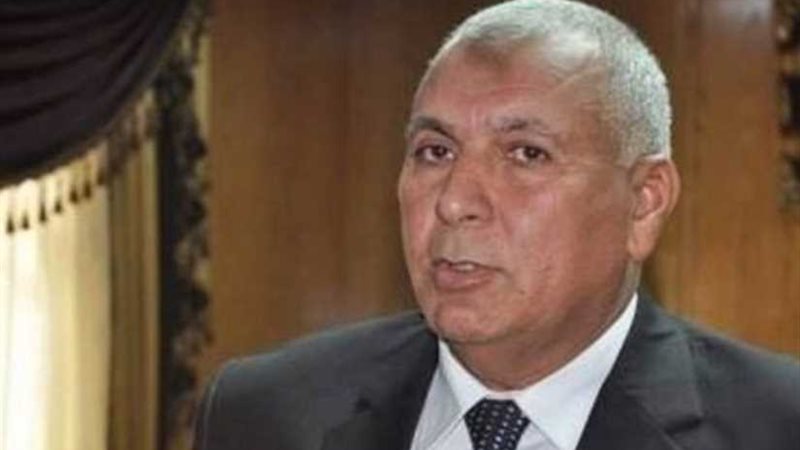 محافظ الوادي الجديد: