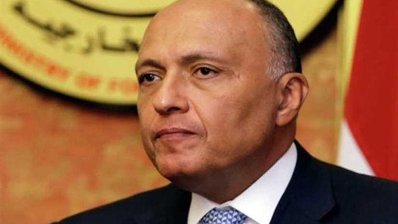 وزارة الخارجية تتابع