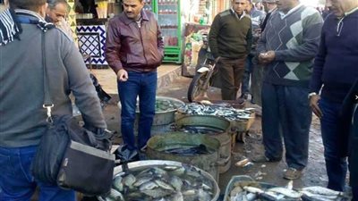 إجراءات مشددة لمنع تداول الأسماك النافقة بأسواق البحيرة