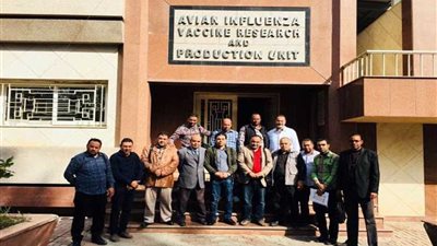 بالتعاون بين 