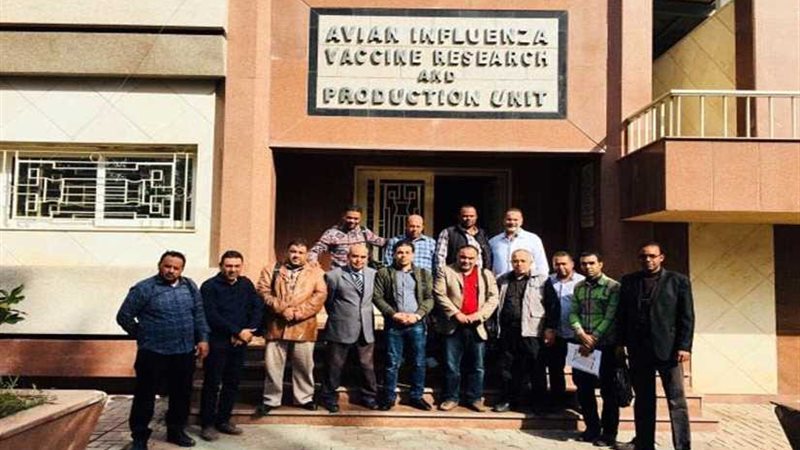 بالتعاون بين الفاو