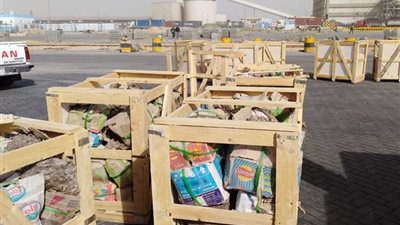 إحباط تهريب 50 طن أشجار متحجرة إلى الصين