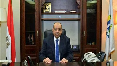 وزير التنمية المحلية : تنمية الصعيد من أهم برامج تعاون البنك الدولي مع مصر