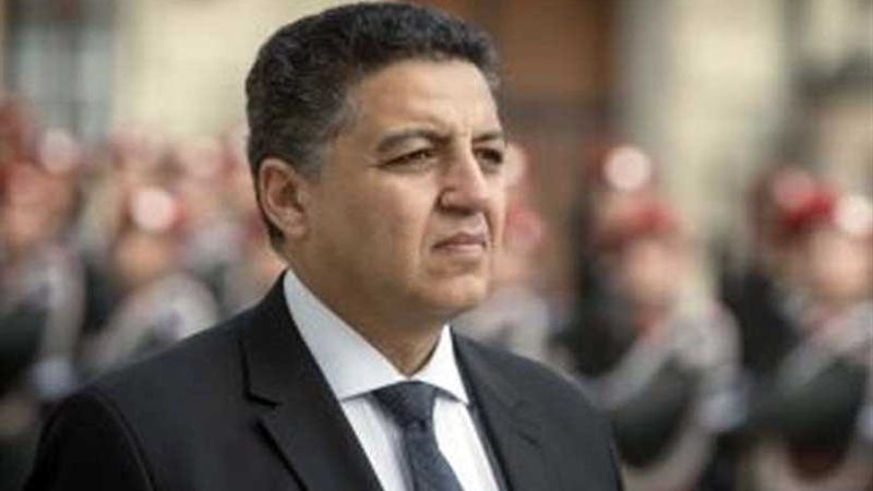 سفير مصر في فيينا