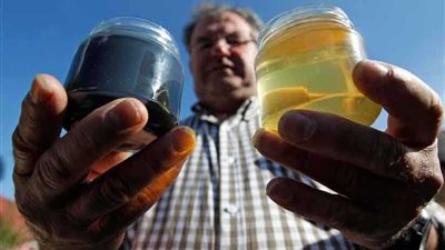 نحل ينتج عسلاً أزرق (صور)