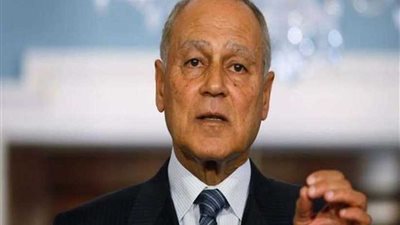 أبو الغيط وسلامة يبحثان جهود حل الأزمة الليبية