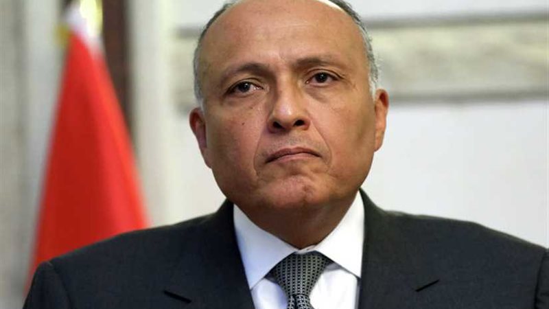 شكري: تجربة مصر في