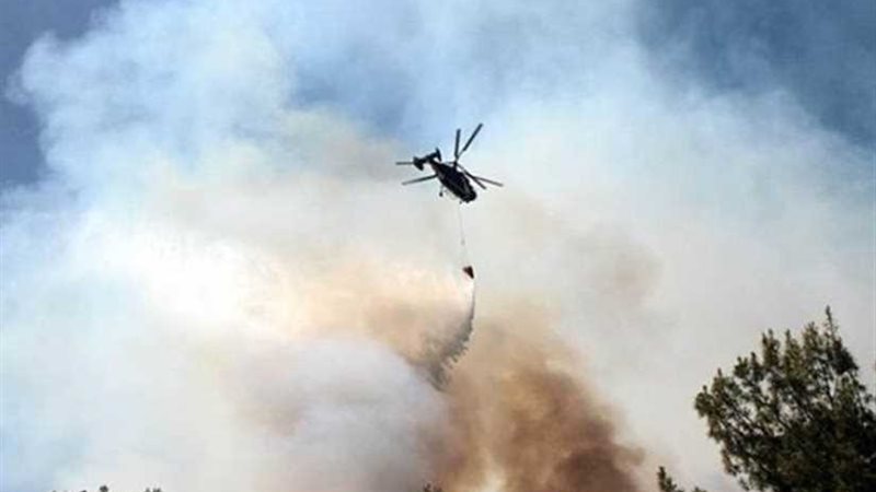 مؤسسات فلسطينية وإسرائيلية