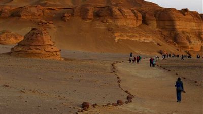 البيئة تنفي خصخصة المحميات الطبيعية