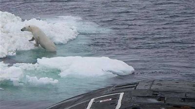 دب يقفز على غواصة نووية روسية