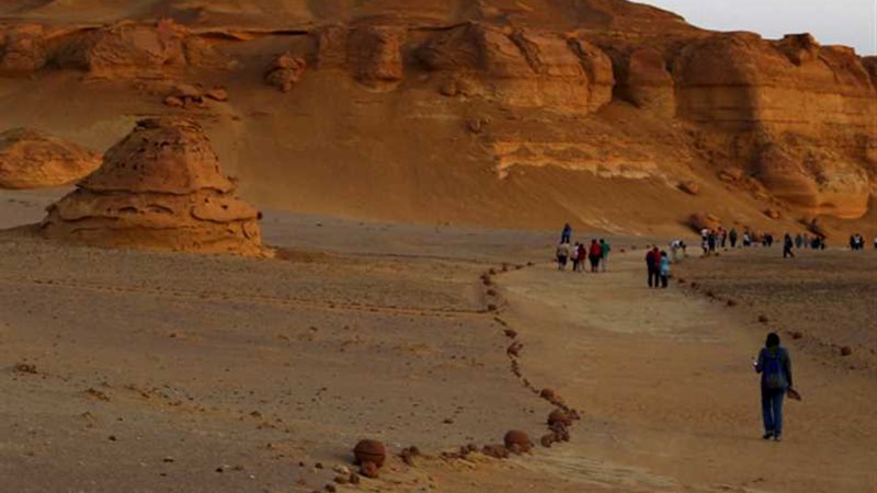 البيئة تنفي خصخصة