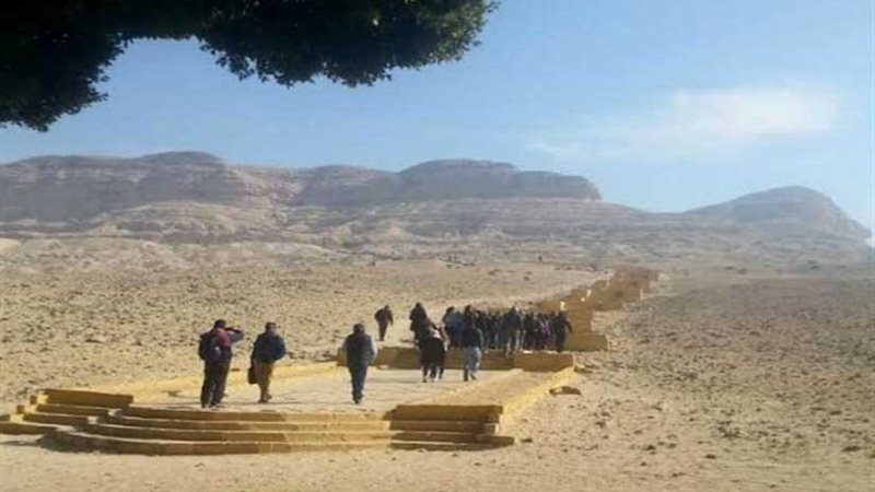 المنيا تواصل استقبال