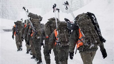 أوروبا في قبضة 