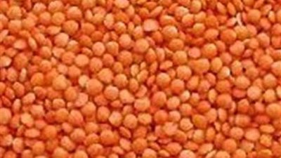 الحكومة تنفى استيراد شحنات عدس فاسدة