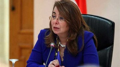 والي: 2.9 مليار جنيه نفقة منذ بداية عمل 