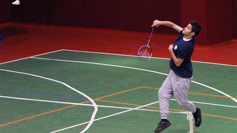 الريشة الطائرة يقرر