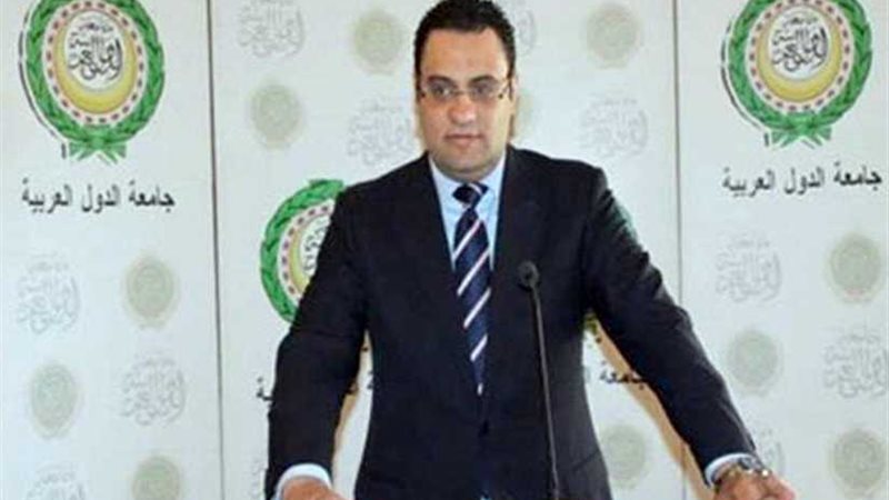 السفيرعفيفى : ينفى