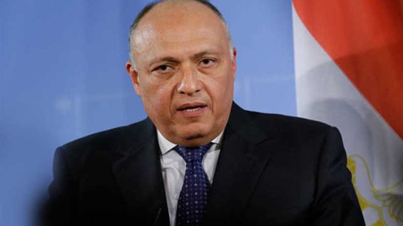 الخارجية تتابع التحقيقات