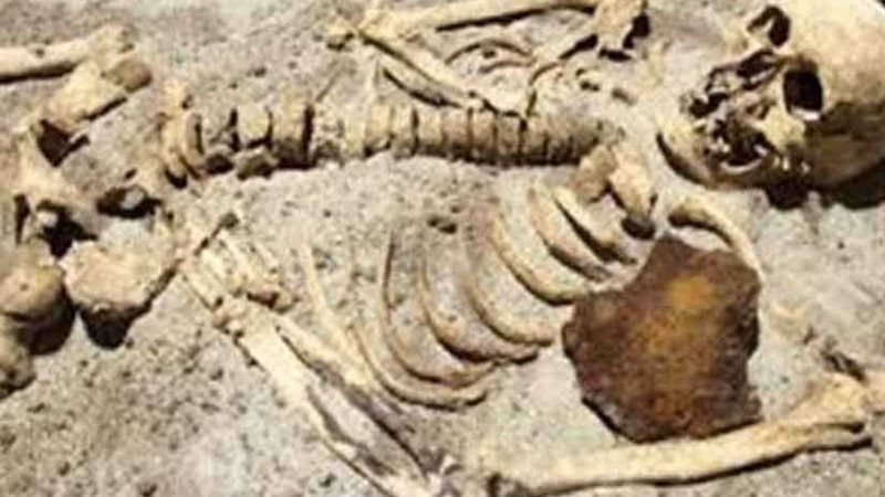 العثور علي هيكل عظمي