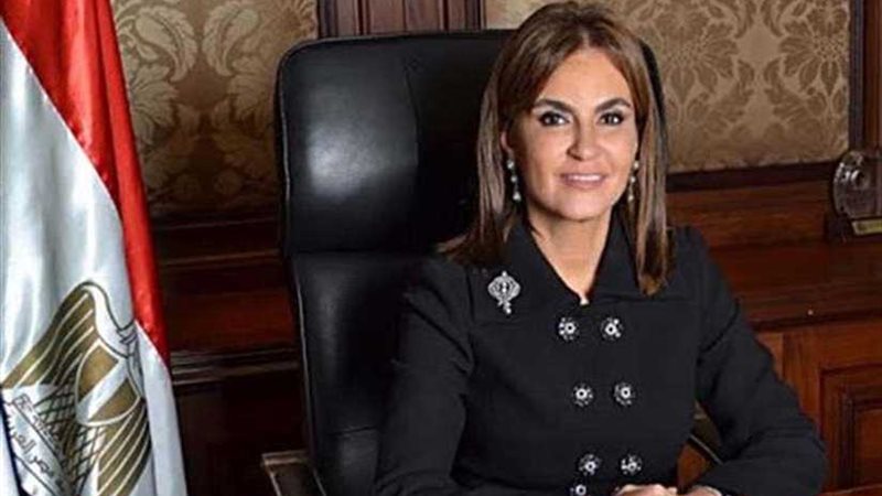 وزيرة الاستثمار: