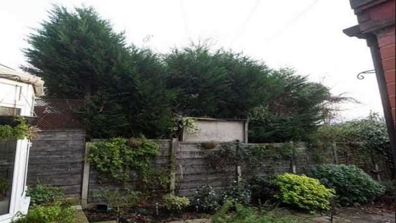 معركة الـ3سنوات على