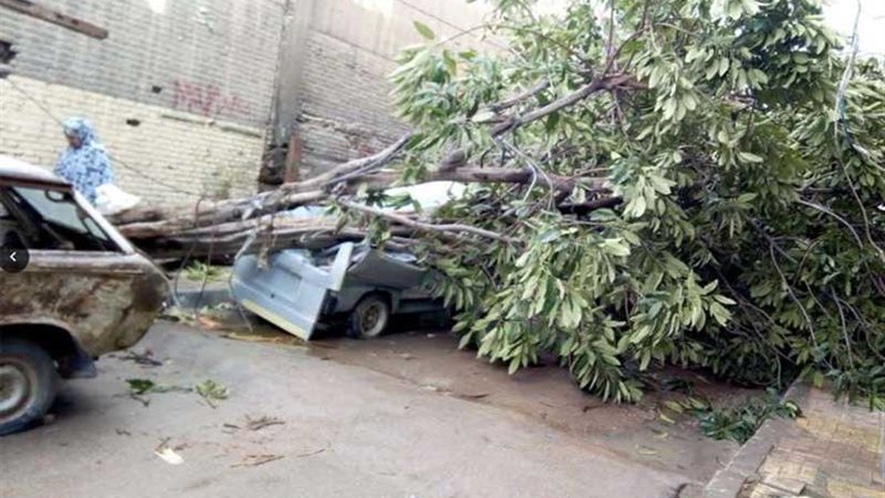 سقوط أشجار وأسوار