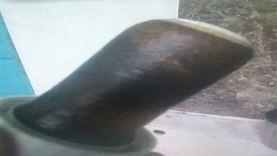 أهالي الجريدات يطالبون بحل فوري للمياه