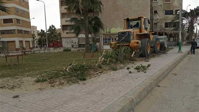 استمرار إزالة التعديات وفرض هيبة الدولة في الموجة 12 بشمال سيناء