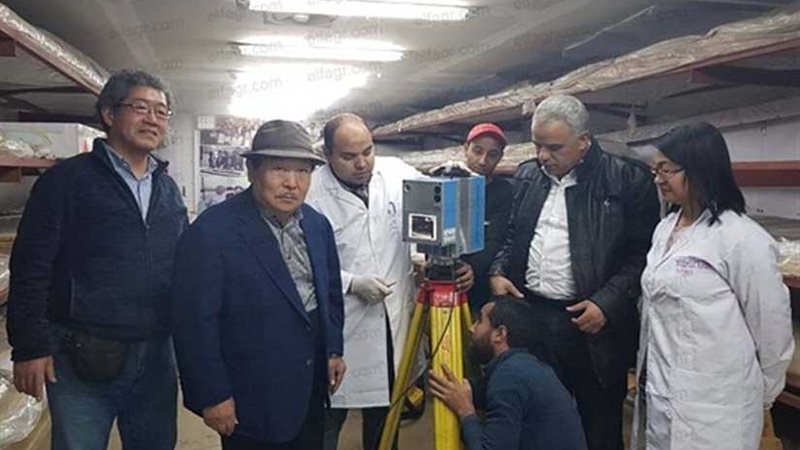 الآثار: استخراج القطعة