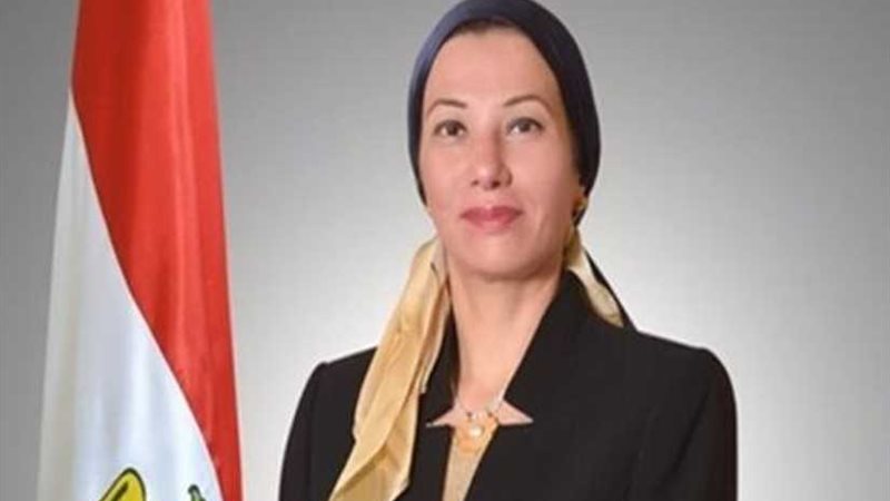 مجلس الدولة يراجع