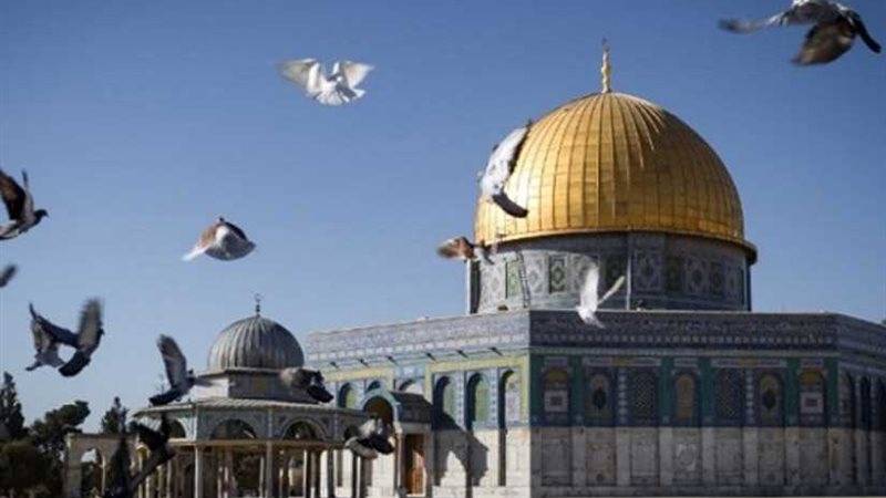 الاحتلال في ورطة..