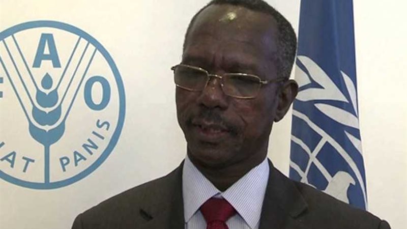 السفراء الأفارقة