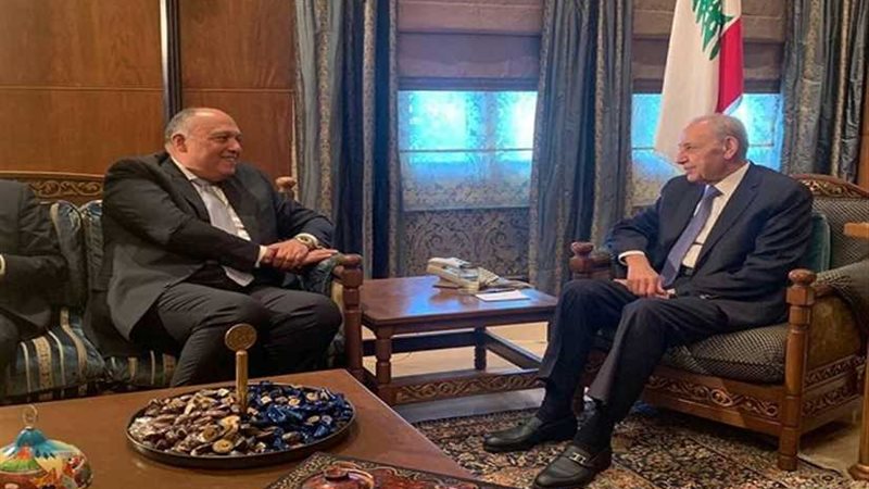 شكري: مصر تتطلع لسرعة