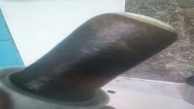 أهالي الجريدات يطالبون