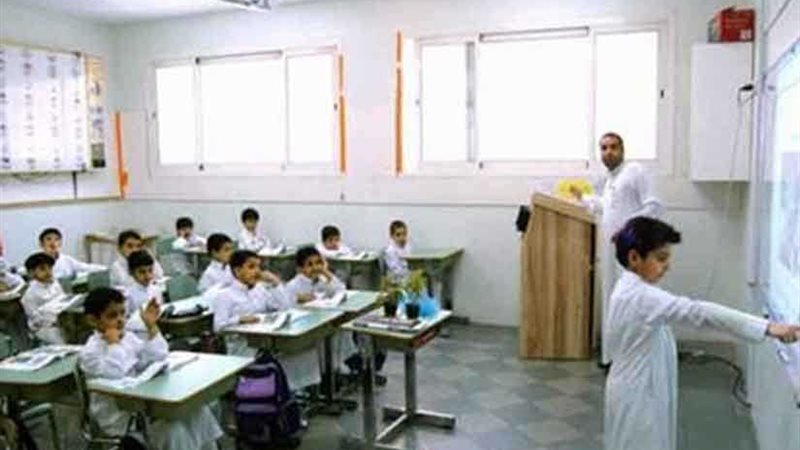 صحيفة المدينة: التعليم