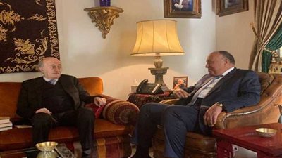 شكري يؤكد دعم مصر لاستقرار لبنان