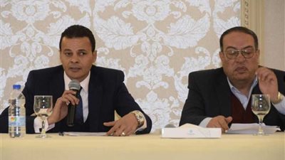 10 مليارات دولار.. استثمارات مصرية بإفريقيا الوسطى