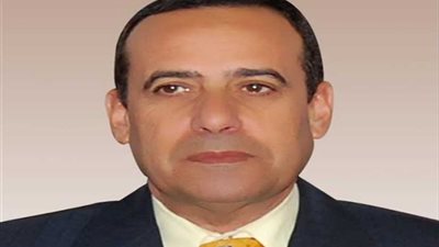 زيادة رأس مال صندوق الغاز بشمال سيناء لمليوني جنيه