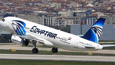 مصر للطيران تنجح في نقل 6 خراتيت من جنوب إفريقيا إلى بكين