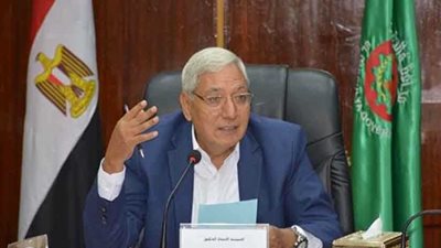 محافظ الدقهلية: تطوير قرية 