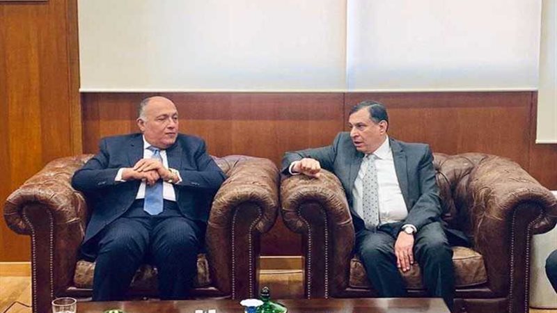 شكري يشيد بالدور