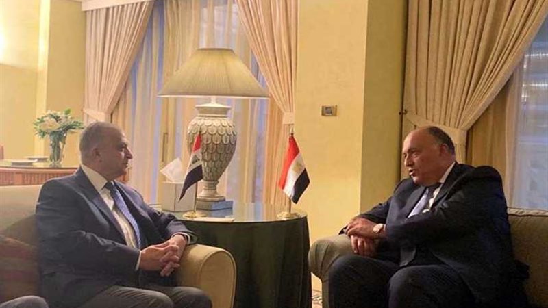 شكري والحكيم يتطلعان