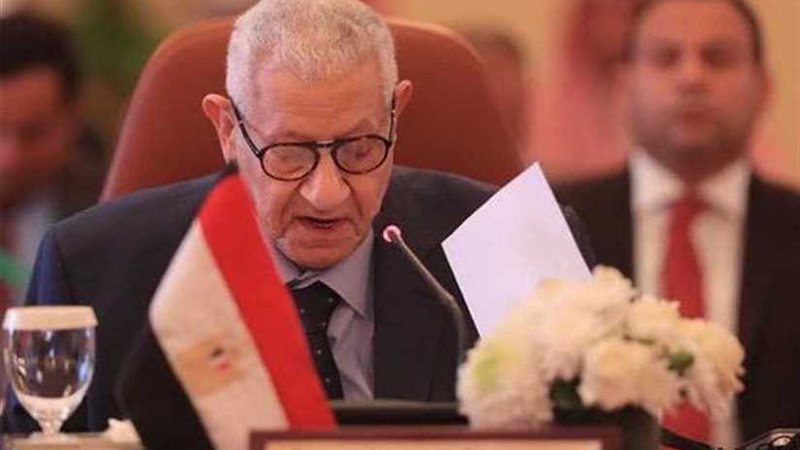 الأعلى للإعلام يحقق