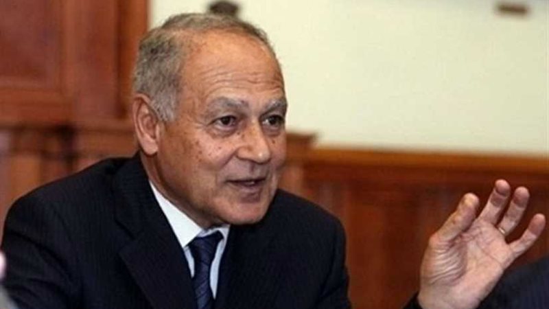 أبو الغيط: القمة