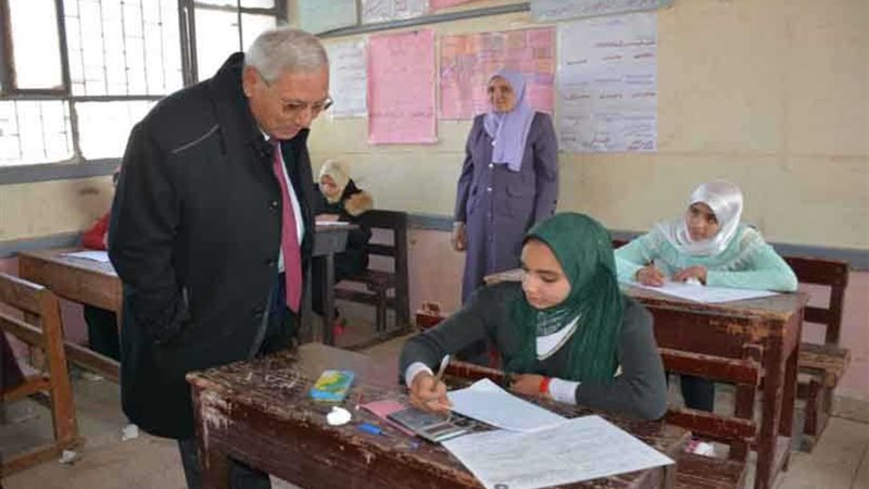 محافظ الدقهلية يتفقد