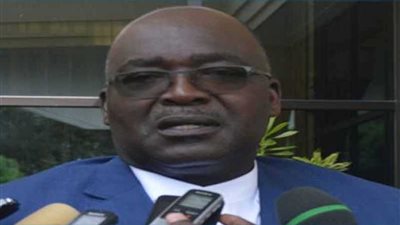 مونديال اليد.. رئيس الاتحاد الإفريقي لليد يشيد بالمنتخب المصري